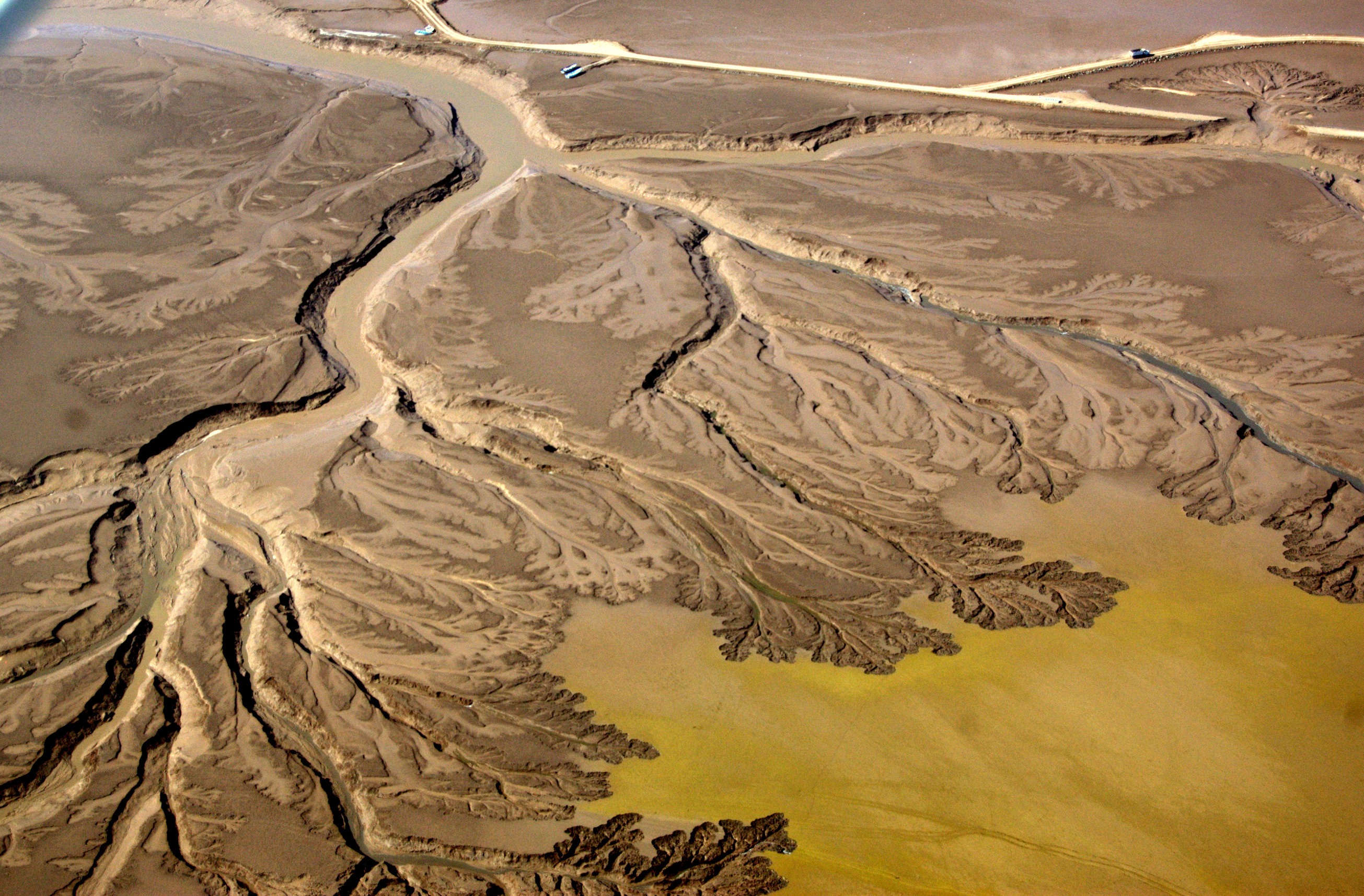 Rowene’s Father Predicted the Colorado River Would Dry Up. He was Right.