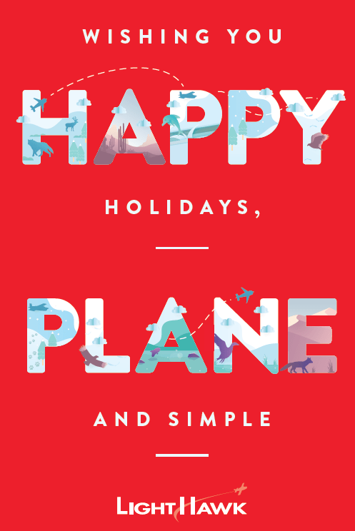 Happy Holidays Plane and Simple