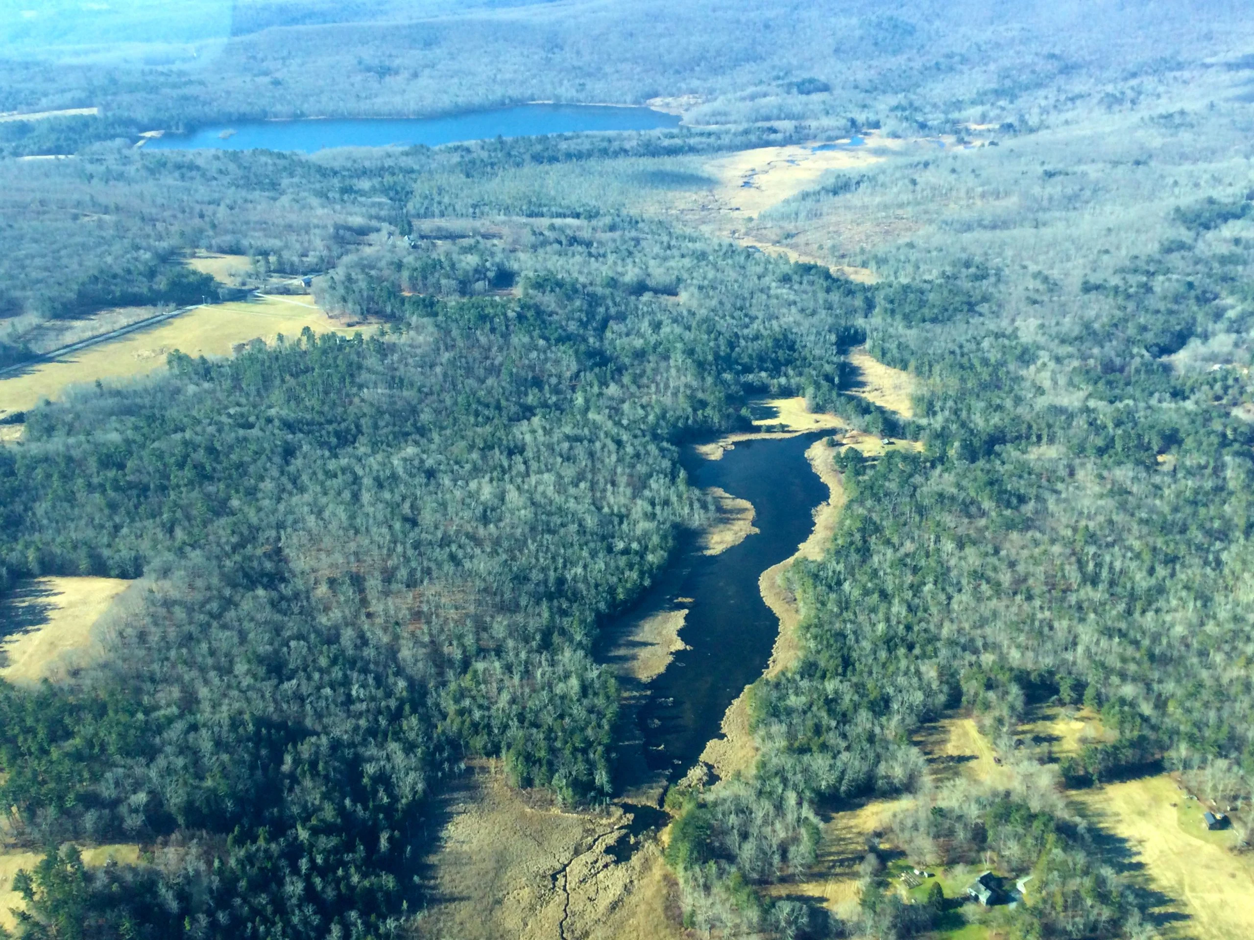 On The Wing News – Spring 2024