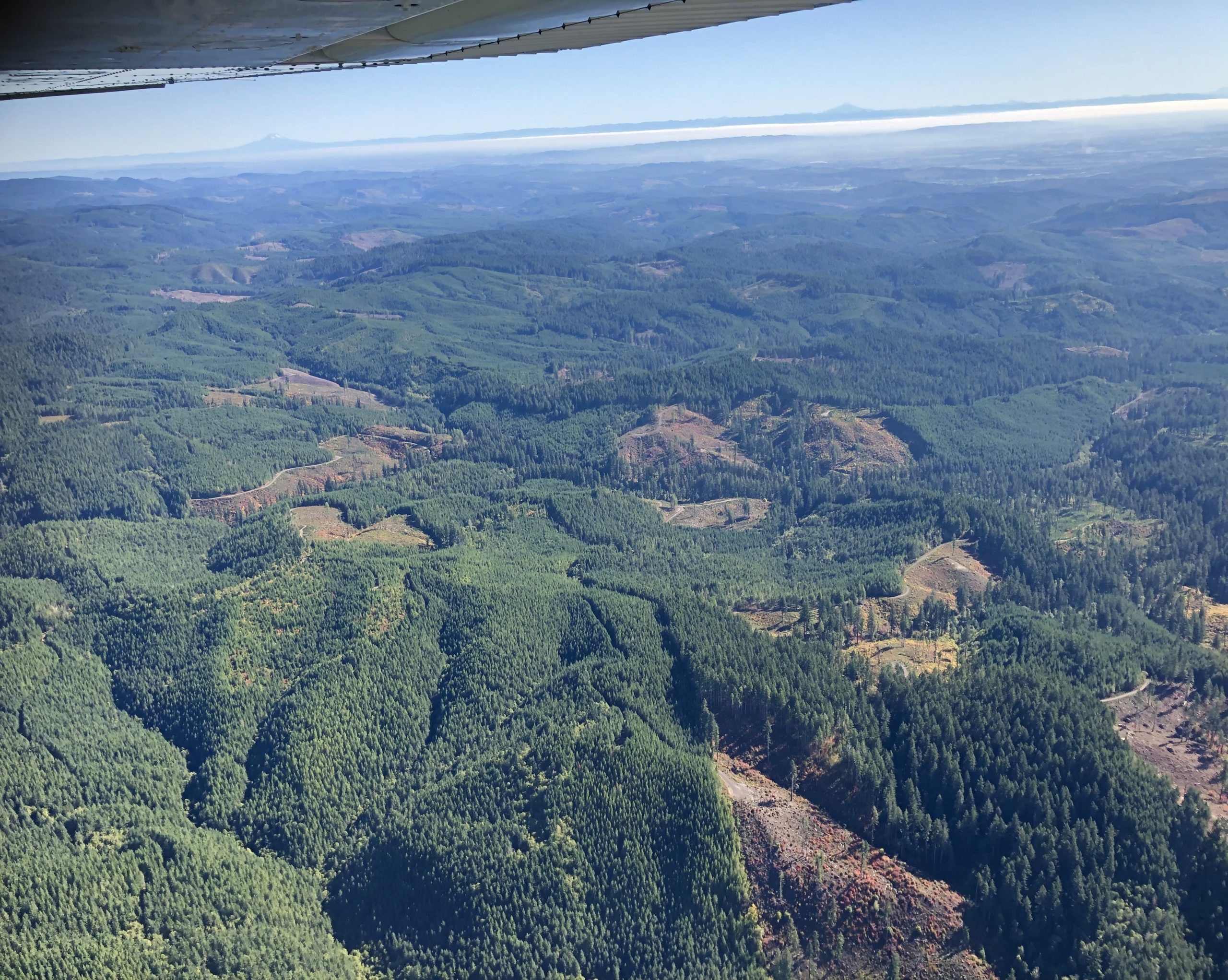 Understanding forest management practices from the air - Oregon Coast Range