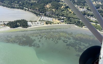 Conservation FLYer – August 2024