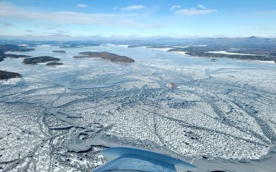 Conservation FLYer – March 2025