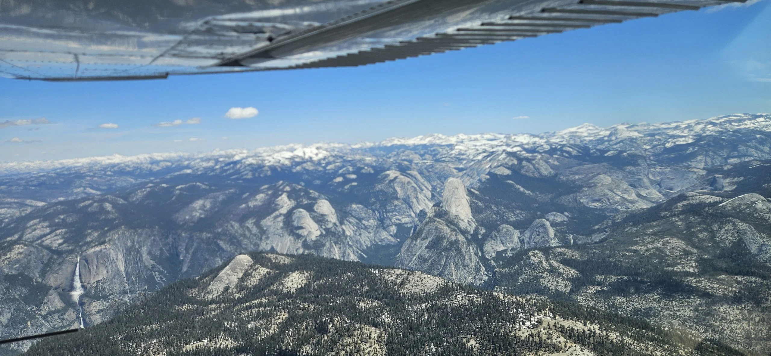 Tracking Yosemite’s Elusive Fishers from the Air