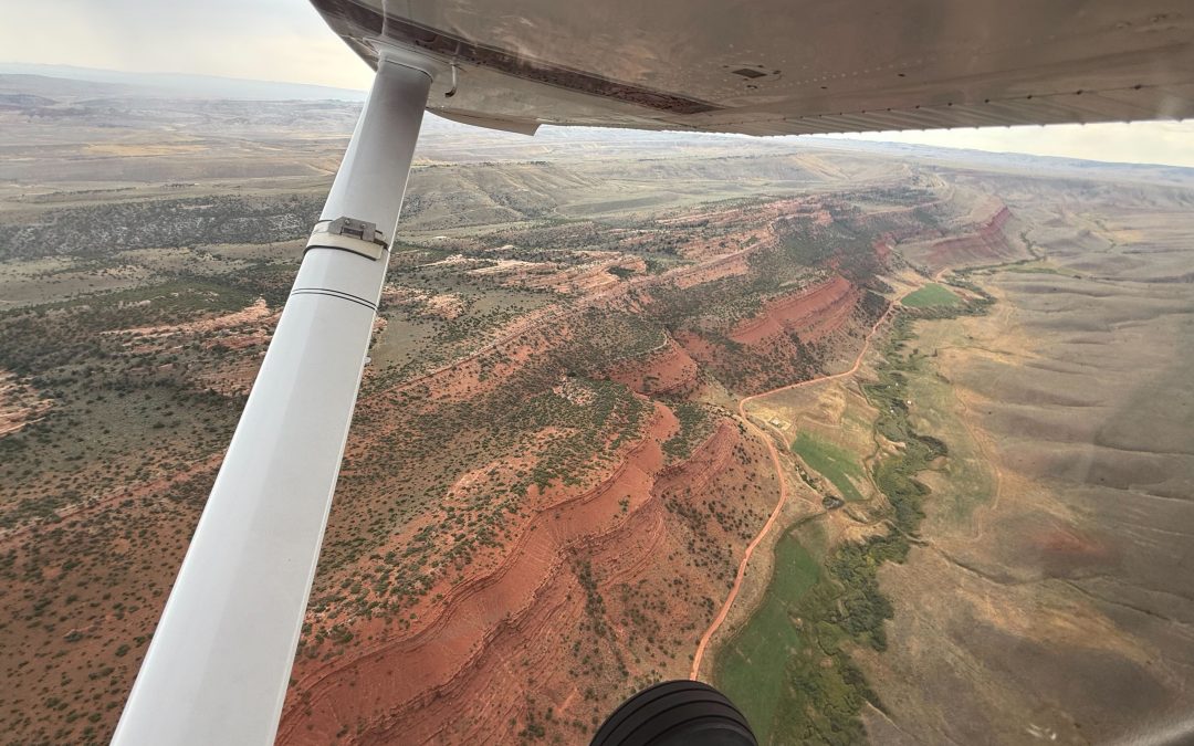 Conservation FLYer Featured Mission – September 2025