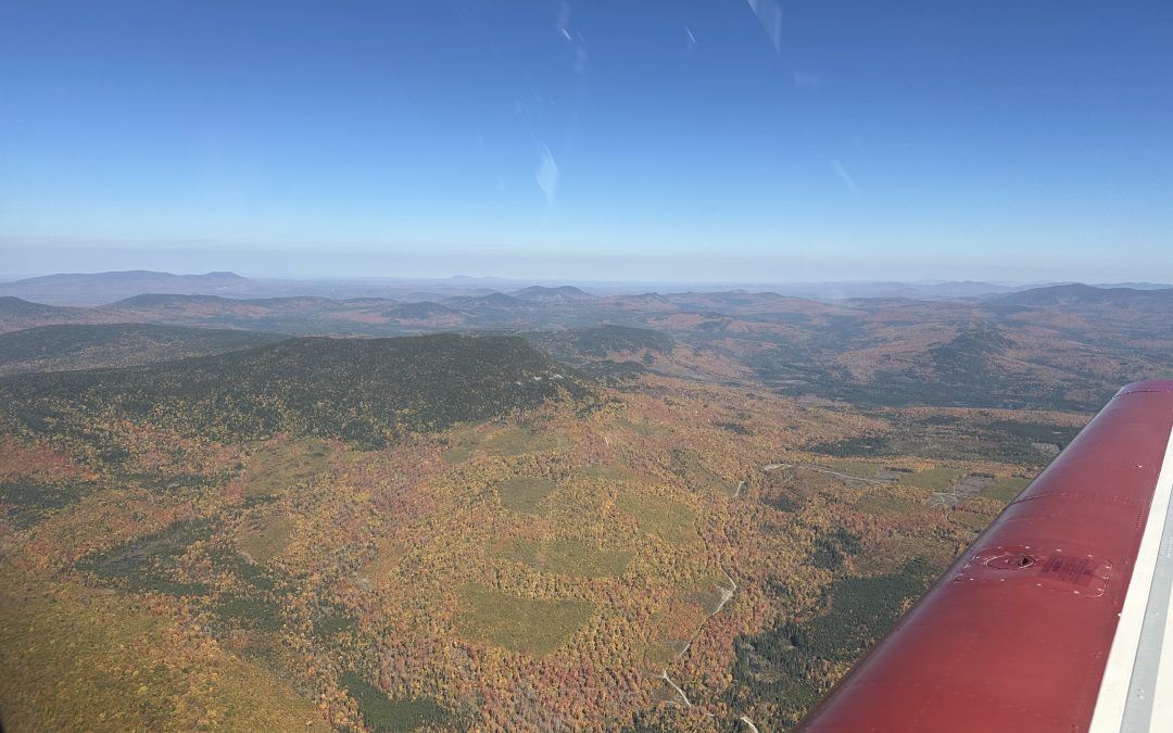 Conservation FLYer – October 2025