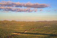 Flight 1: Documenting Border Wall Impacts on Wildlife Movement in New Mexico