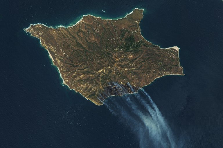 Flight 36: Surveying Population of Channel Island Foxes