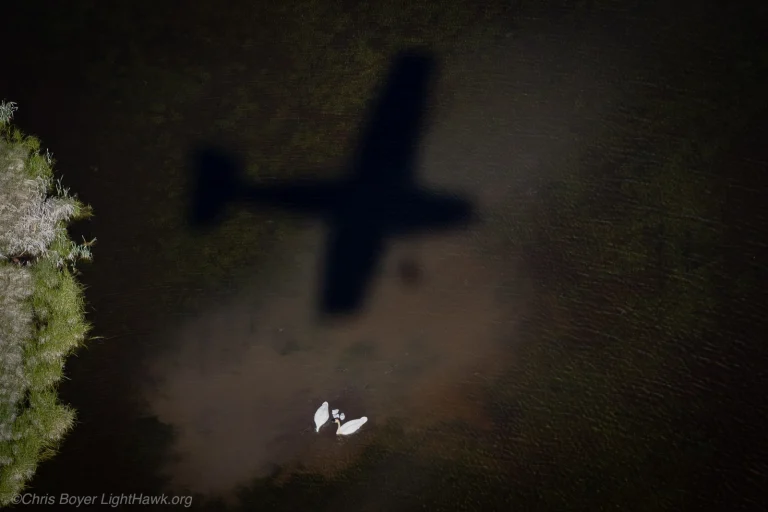 Flight 42: Surveying Trumpeter Swan Nests