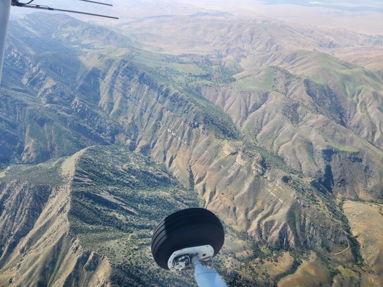Flight 49: Searching for Missing California Condors