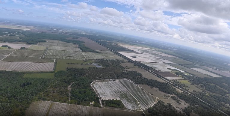 Flights 6-7 & 31: Protecting Panther Habitat in Southwest Florida