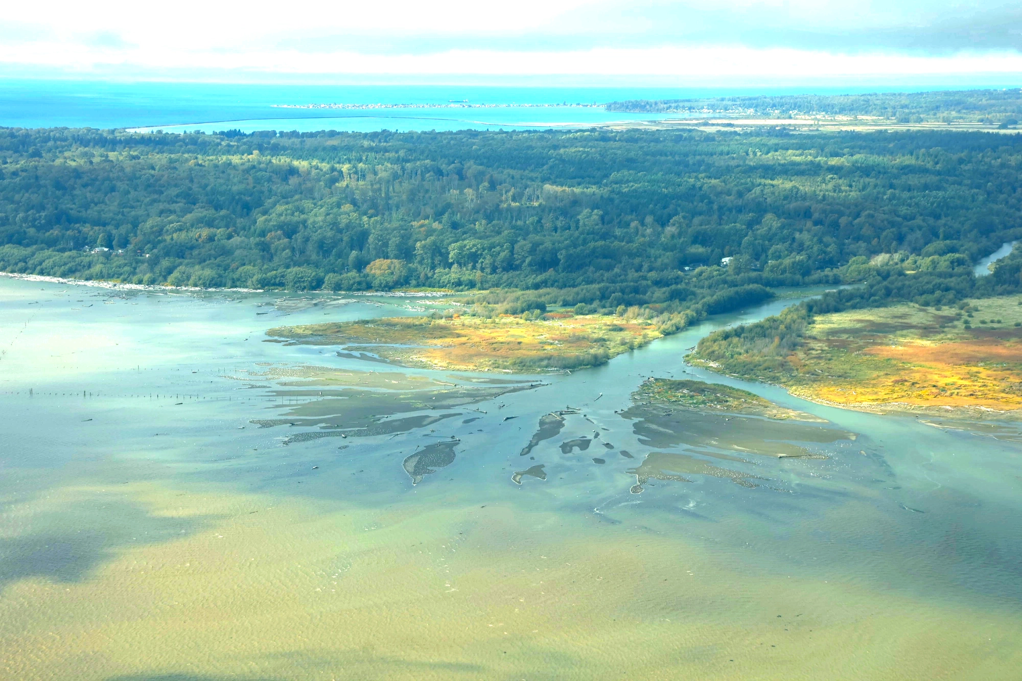 Nooksack River Estuary